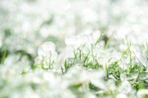 closeup of hail that may cause damage to roof insurance claim