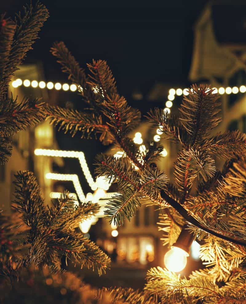 evergreen branches with holiday lights on a roof in the background