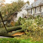 a fallen tree in Dayton, OH causing damage due to a tornado