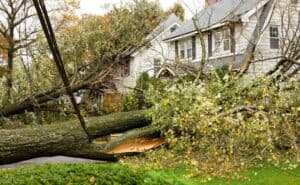 a fallen tree in Dayton, OH causing damage due to a tornado